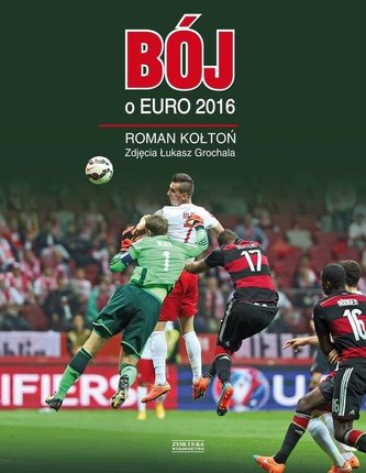 Lupta pentru Euro 2016