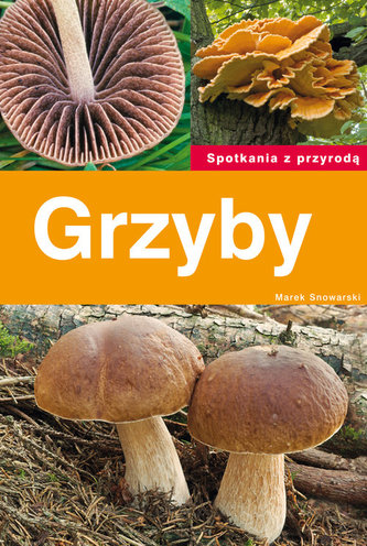 Ciuperci