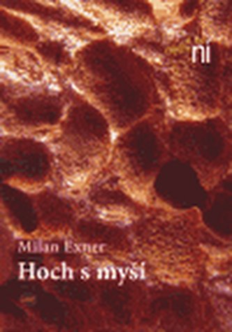 Hoch s myší