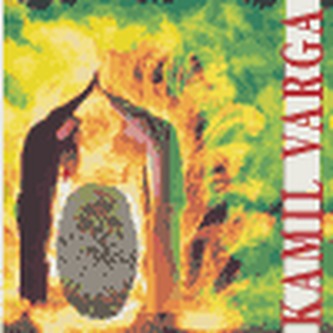 Kamil Varga