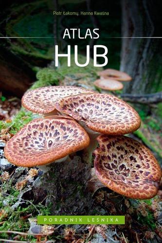 Atlas hub