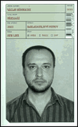 Předjaří