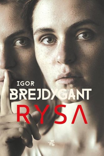 Rysa