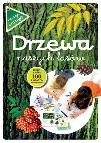 Drzewa naszych lasów