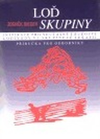 Nava grupului