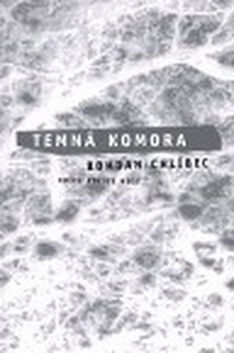 Temná komora