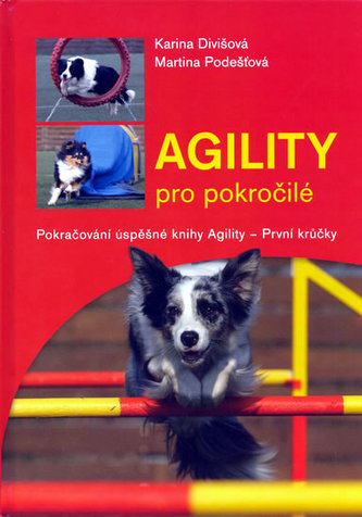 Agility pentru avansați