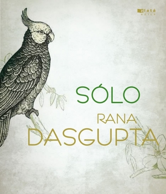 Solo