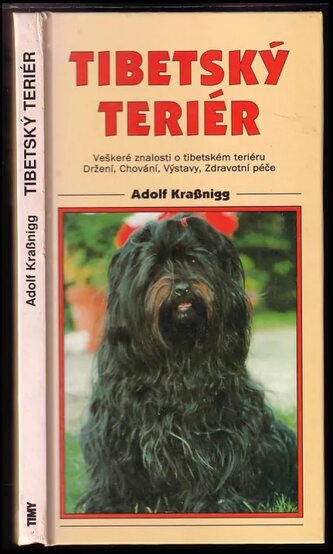 Terrier tibetan - Timy