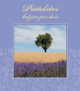 Prietenia - balsam pentru suflet