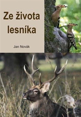 Din viaţa pădurarului