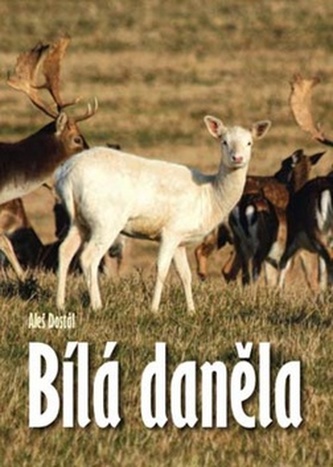 Daněla cea albă