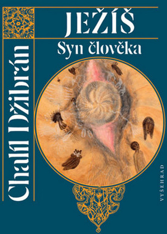 Isus, Fiul Omului