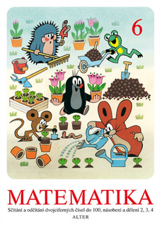 Matematică 6