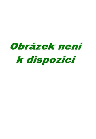 Texte