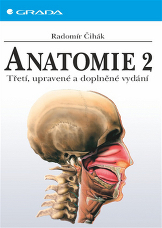 Anatomia 2