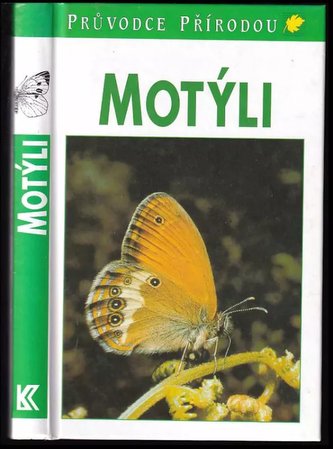 Fluturi