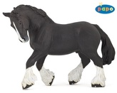Cal Shire negru