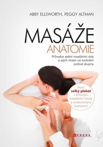 Masaje - anatomie