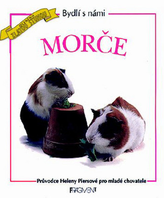 Morče