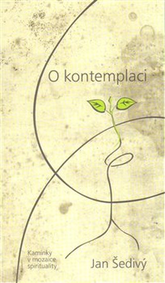 Despre contemplație