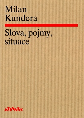 Cuvinte, termeni, situaţii
