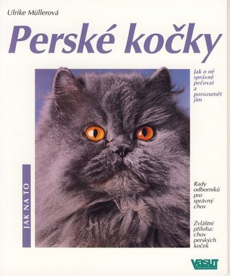 Pisici persane