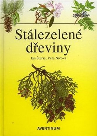 Arbori veșnic verzi