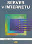 Server pe Internet