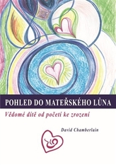 O privire în pântecul matern