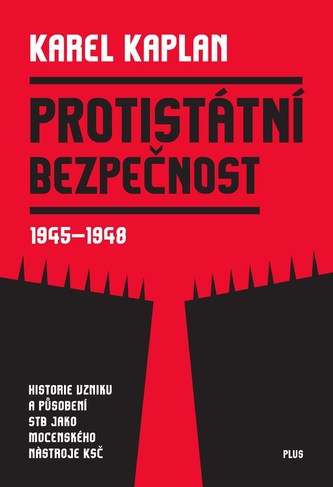 Securitate antisistem