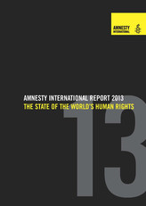 Raportul Amnesty International 2013