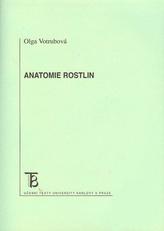 Anatomia plantelor