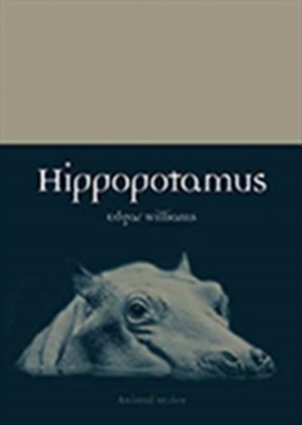 Hipopotam