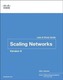 Scaling Networks v6 - Laboratoare și ghid de studiu