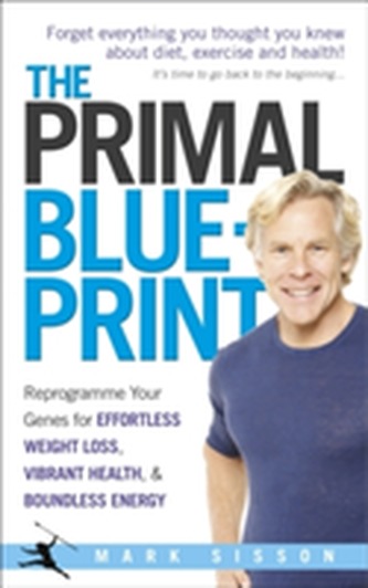 Planul primal