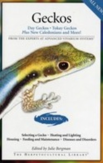 Geckos