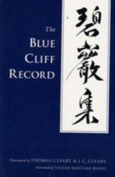 Recordul Stâncii Albastre