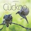 Cucul