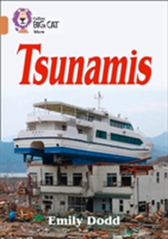 Tsunami