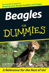 Beagles pentru începători