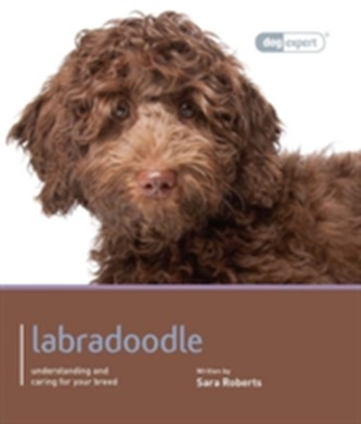 Labradoodle - Expert în câini