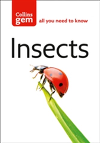 Insecte