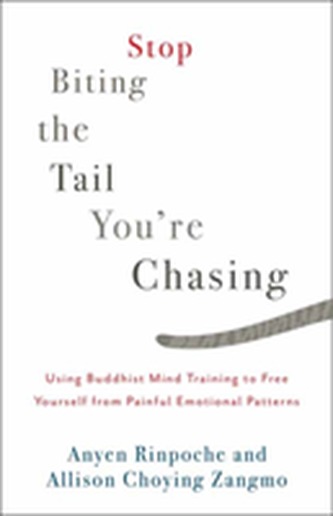 Stop Biting the Tail You're Chasing