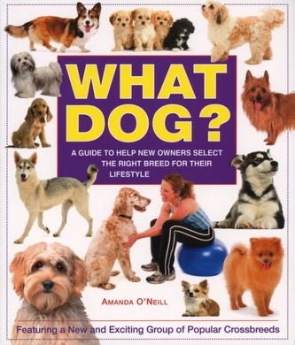 What Dog?