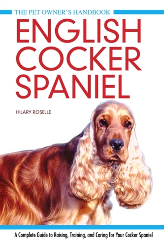 Cocker spaniel englez
