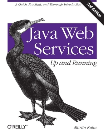 Java Web Services: Ghid practic