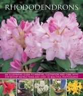 Rododendroni