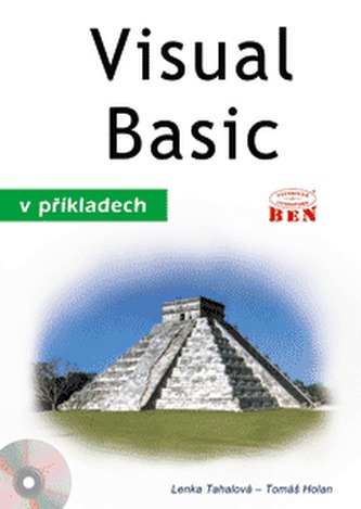 Visual Basic în exemple