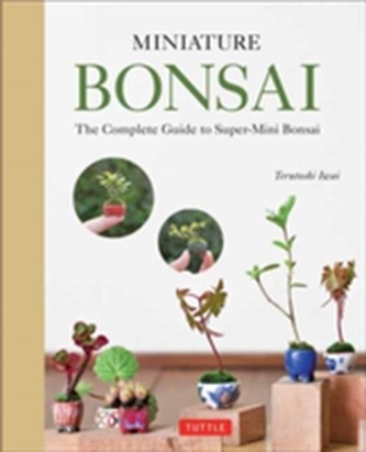 Bonsai miniaturale